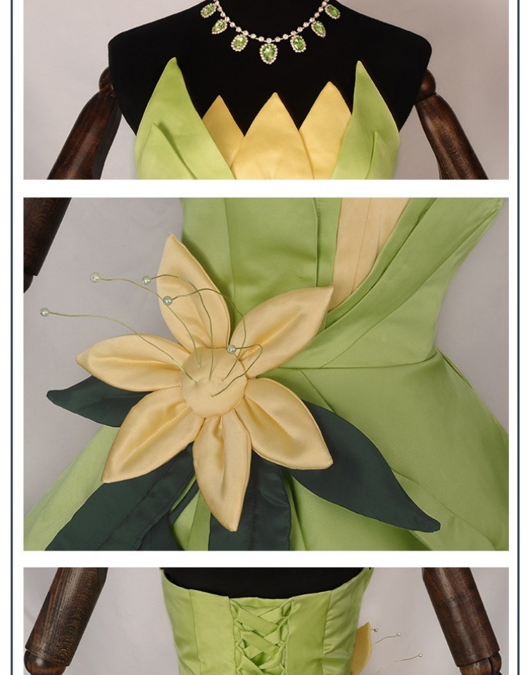 Princess Tiana Dress Cosplay C - Tech Accessories Women のレビューと価格