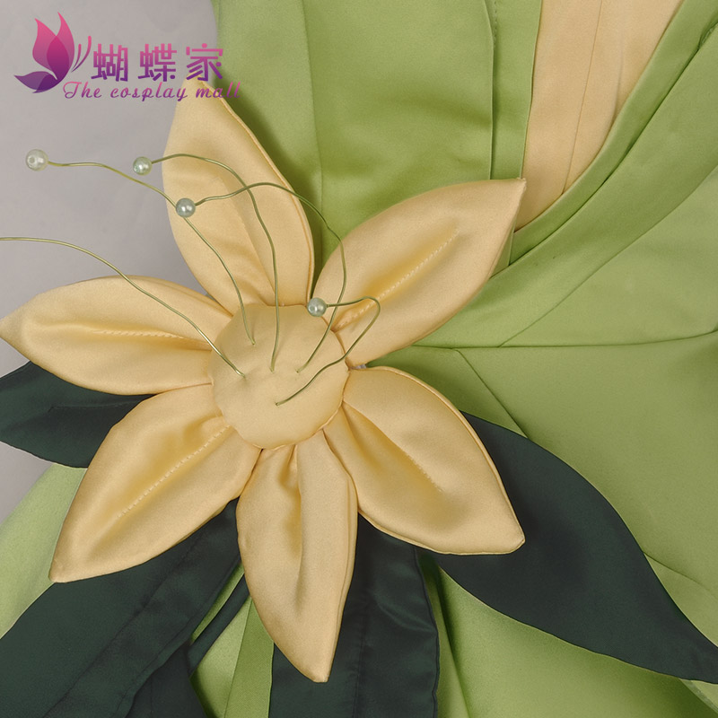 Princess Tiana Dress Cosplay C - Tech Accessories Women のレビューと価格