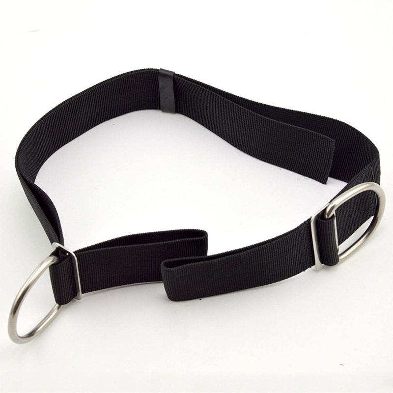 Adjustable Tech Dive Crotch St - Tech Gear Accessories のレビューと価格